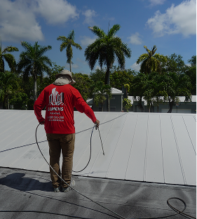 Professional application - Exterior Painting Services