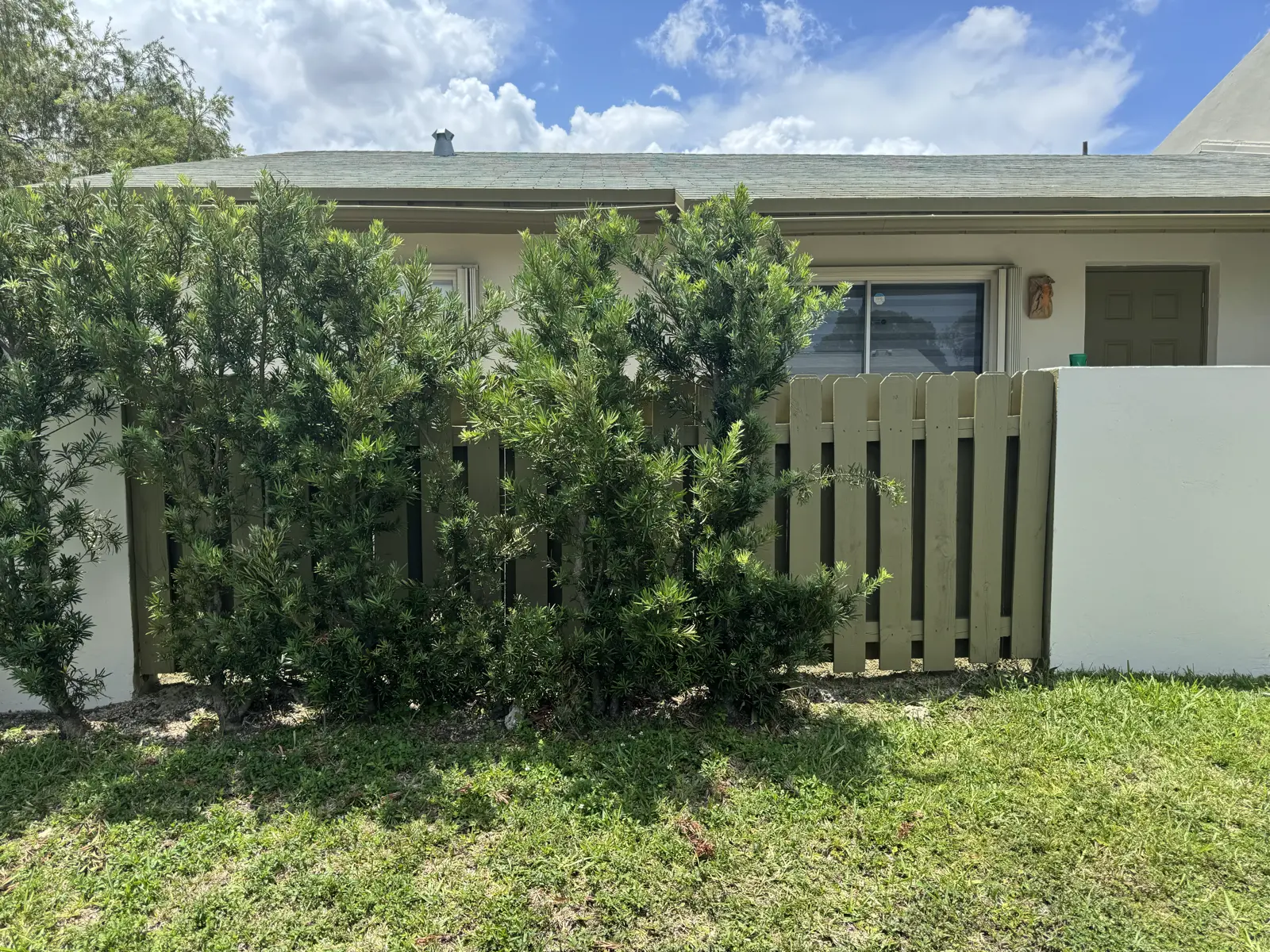 Wood Fence Repair and Painting, handyman services project photo 49
