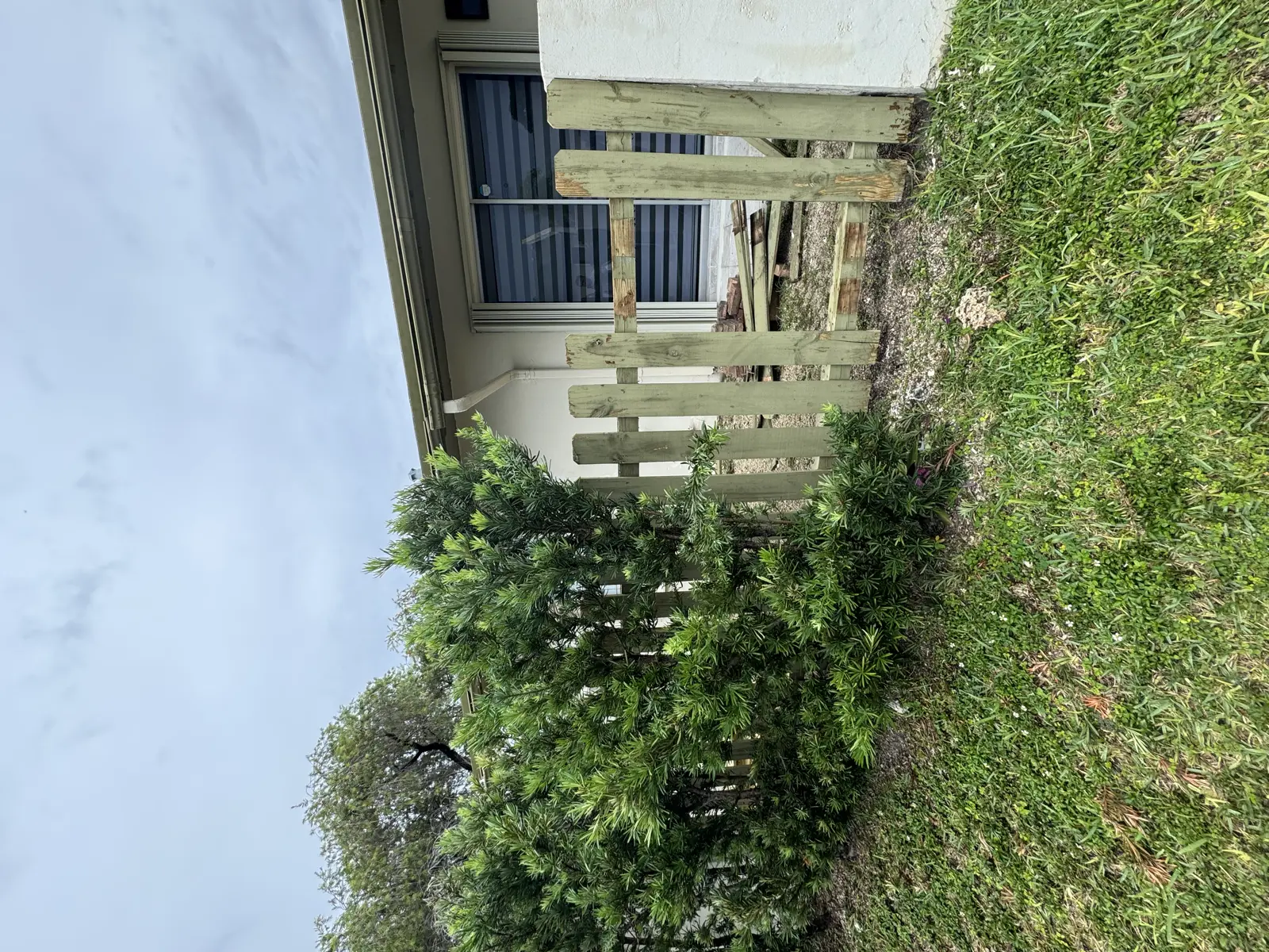 Wood Fence Repair and Painting, handyman services project photo 57