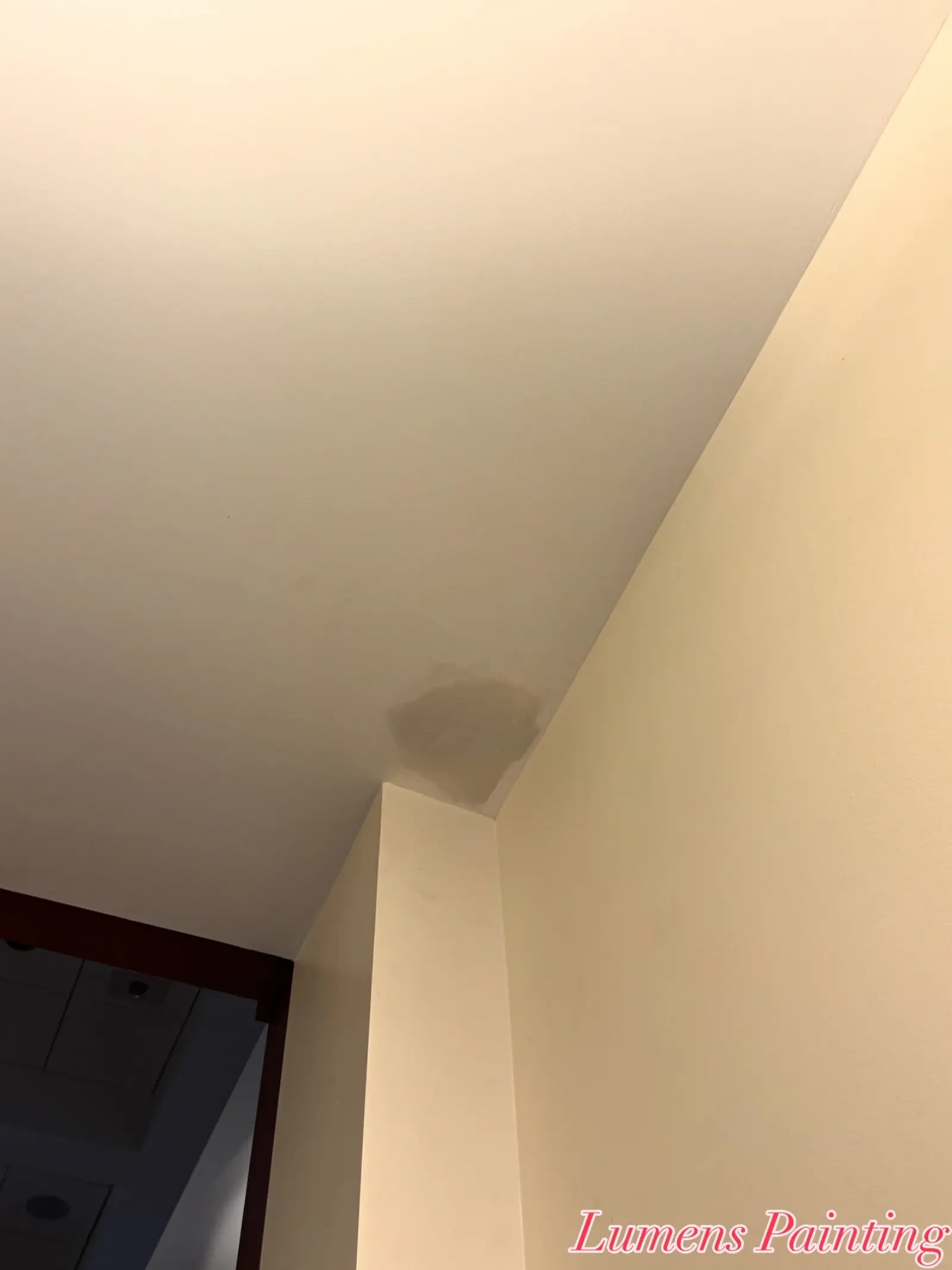 Residential and Commercial Painting Portfolio, painting services project photo 290