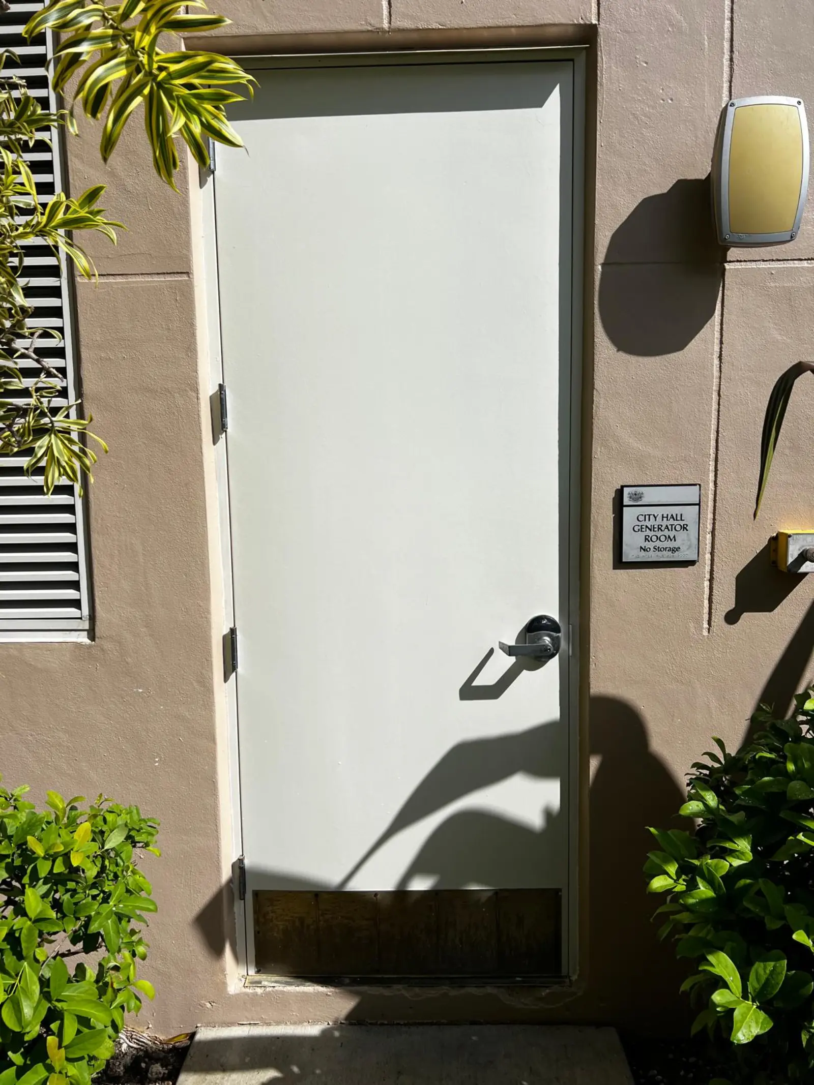 Residential and Commercial Painting Portfolio, painting services project photo 291