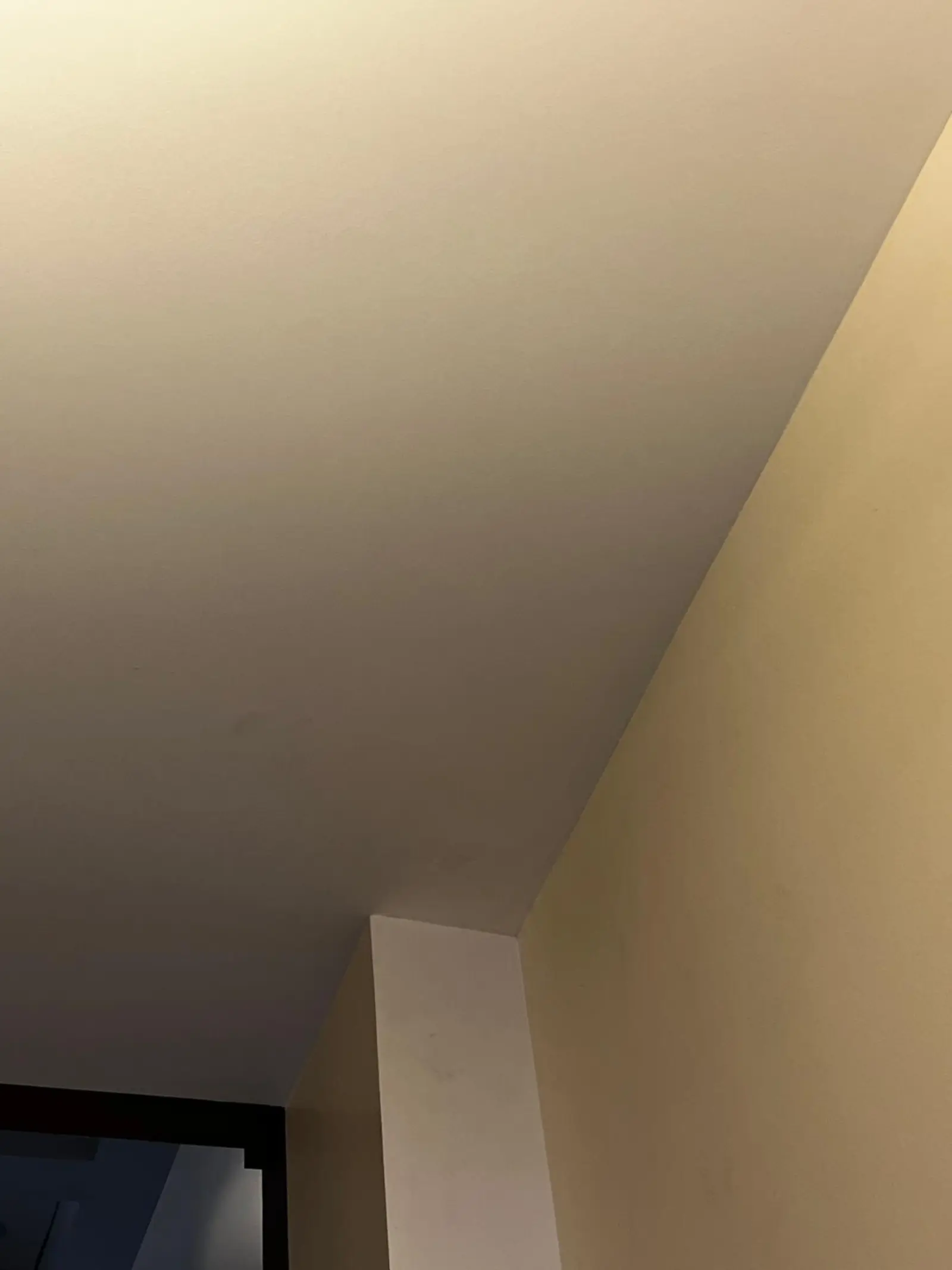 Residential and Commercial Painting Portfolio, painting services project photo 297