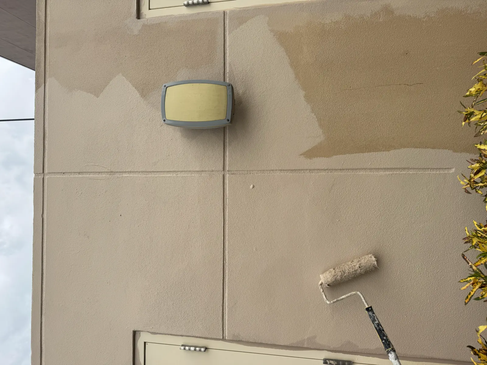 Residential and Commercial Painting Portfolio, painting services project photo 301