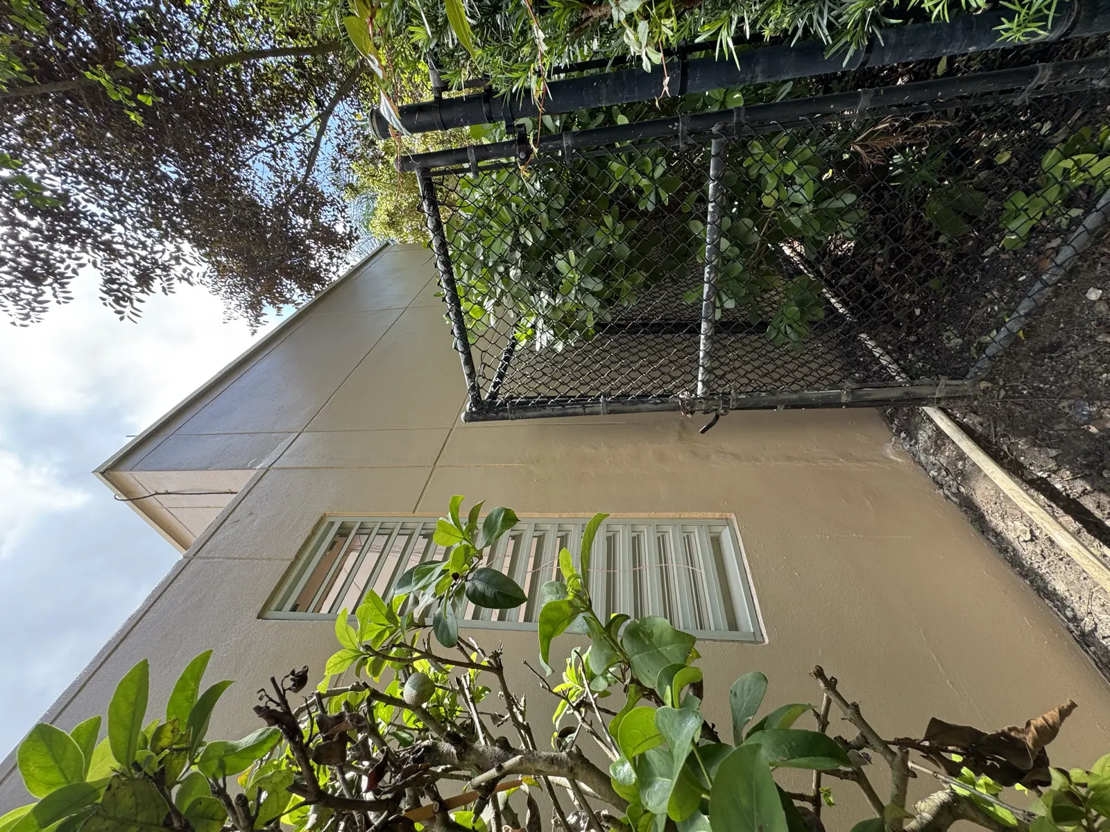 Residential and Commercial Painting Portfolio, painting services project photo 344