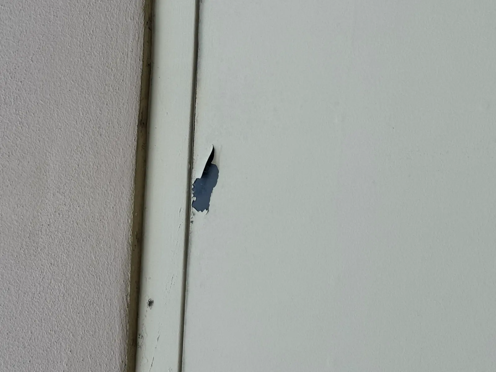 Residential and Commercial Painting Portfolio, painting services project photo 578
