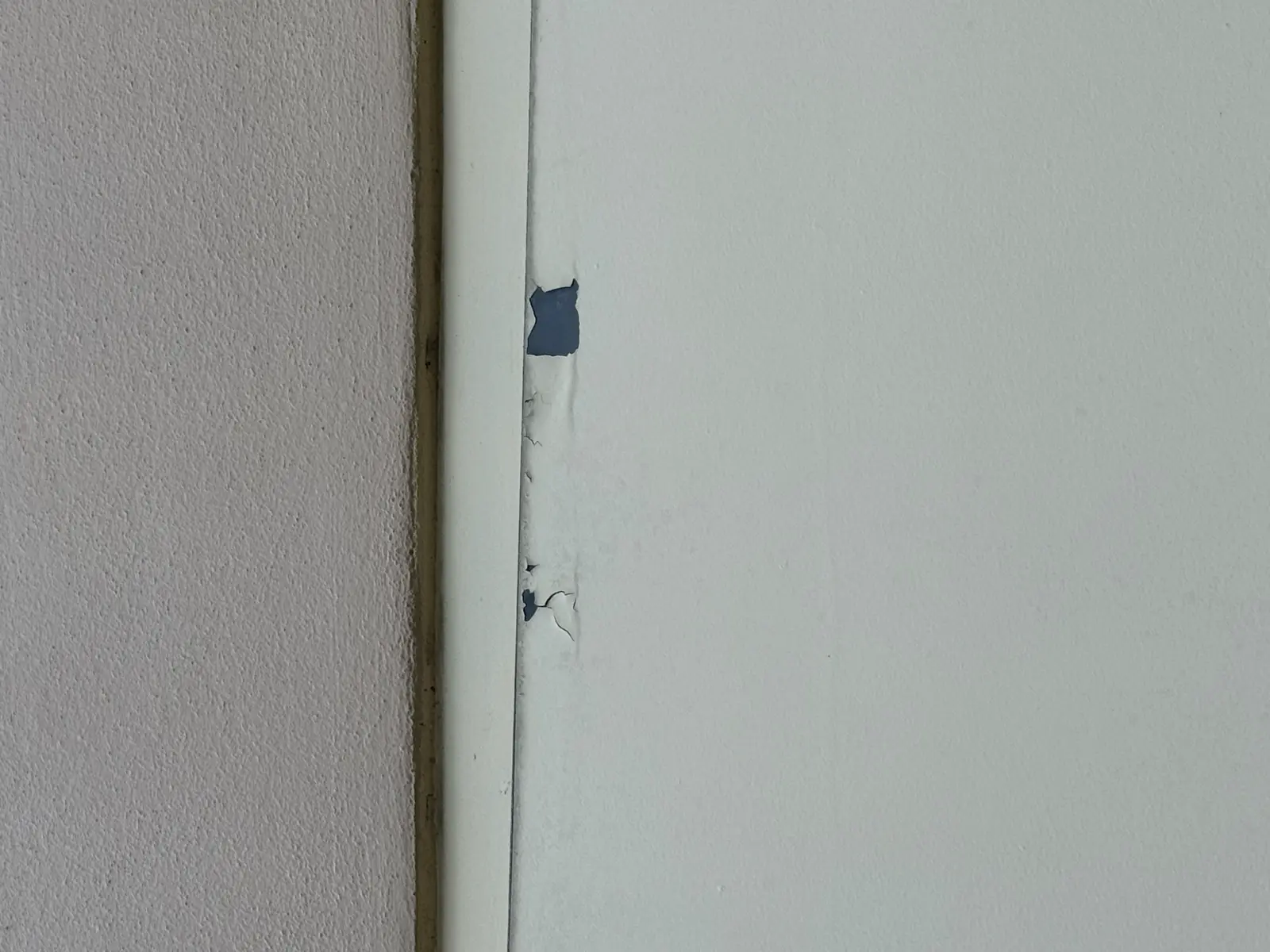 Residential and Commercial Painting Portfolio, painting services project photo 579