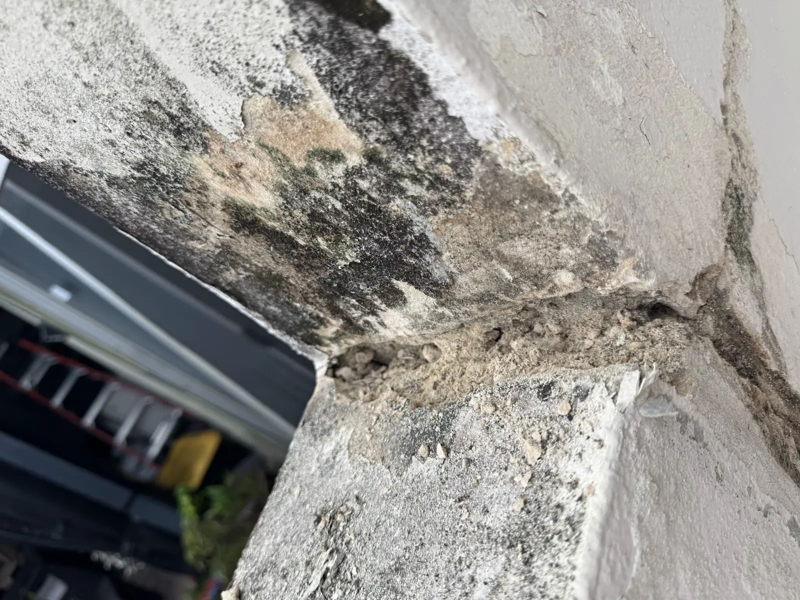 Residential and Commercial Painting Portfolio, painting services project photo 603