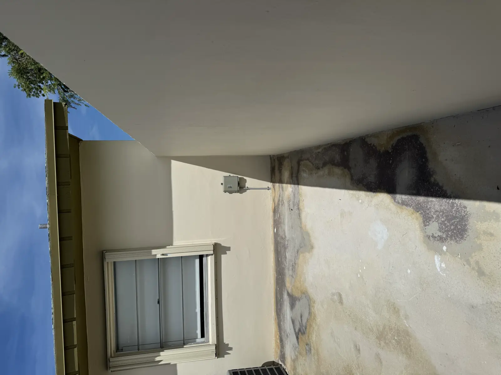 Residential and Commercial Painting Portfolio, painting services project photo 637