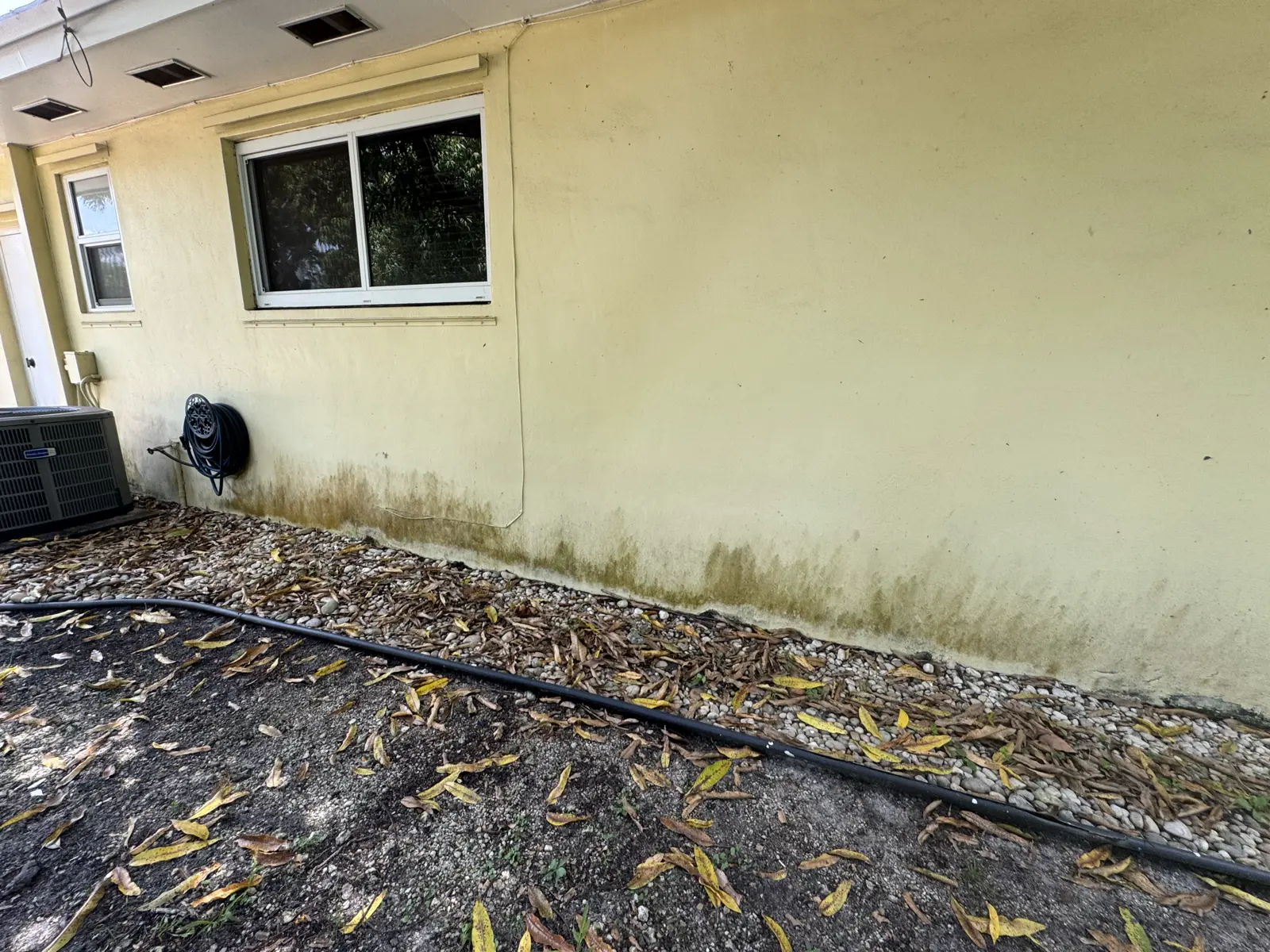 Residential and Commercial Painting Portfolio, painting services project photo 769