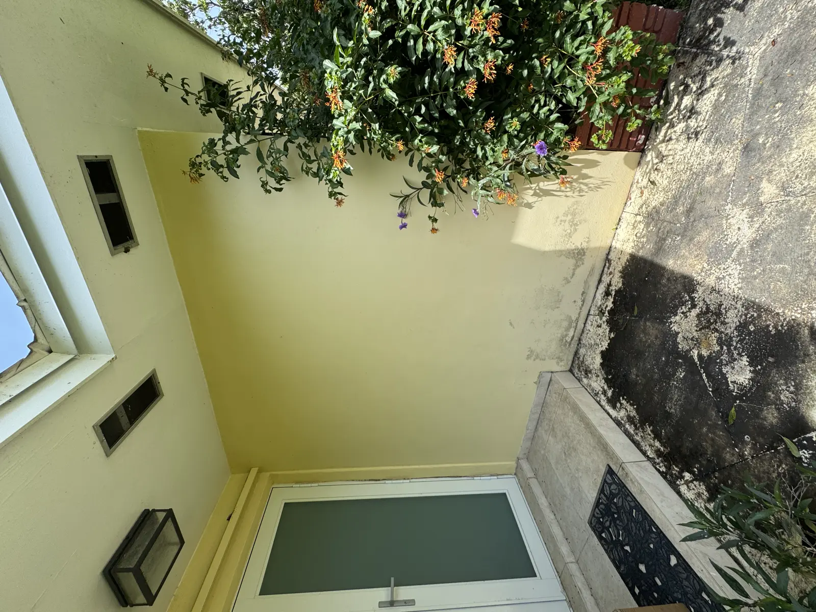 Residential and Commercial Painting Portfolio, painting services project photo 771