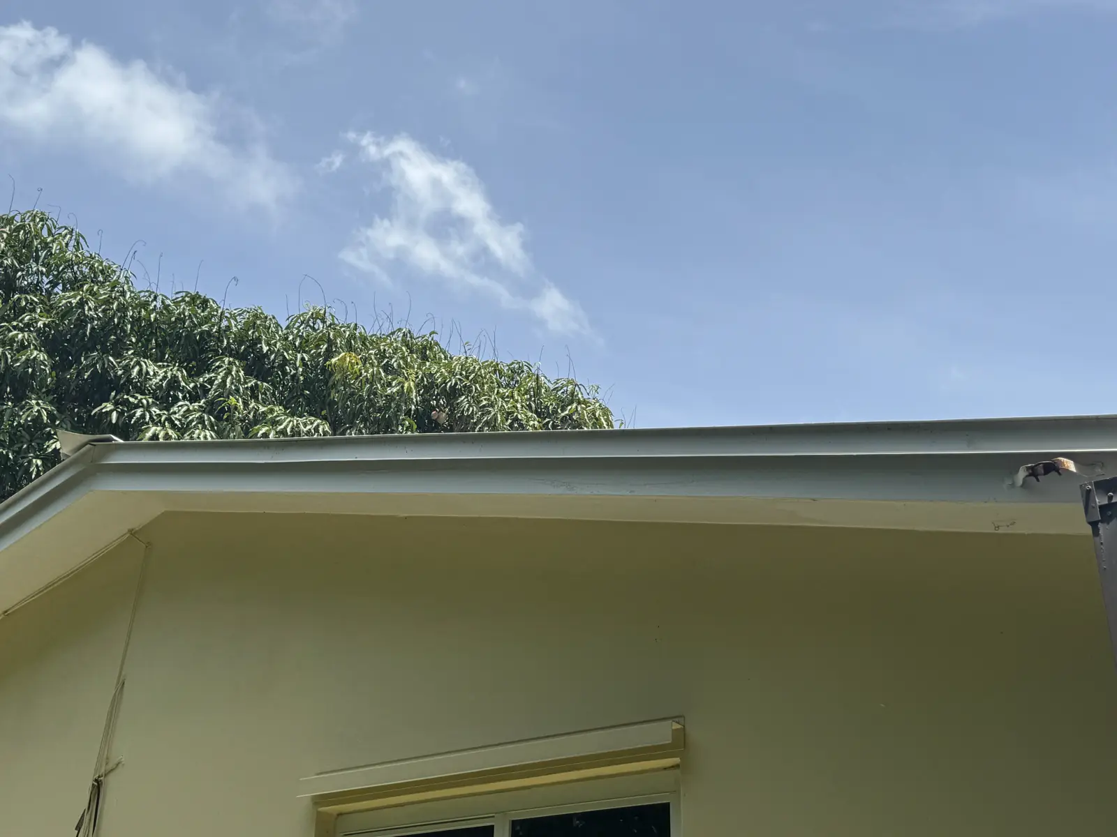 Residential and Commercial Painting Portfolio, painting services project photo 781