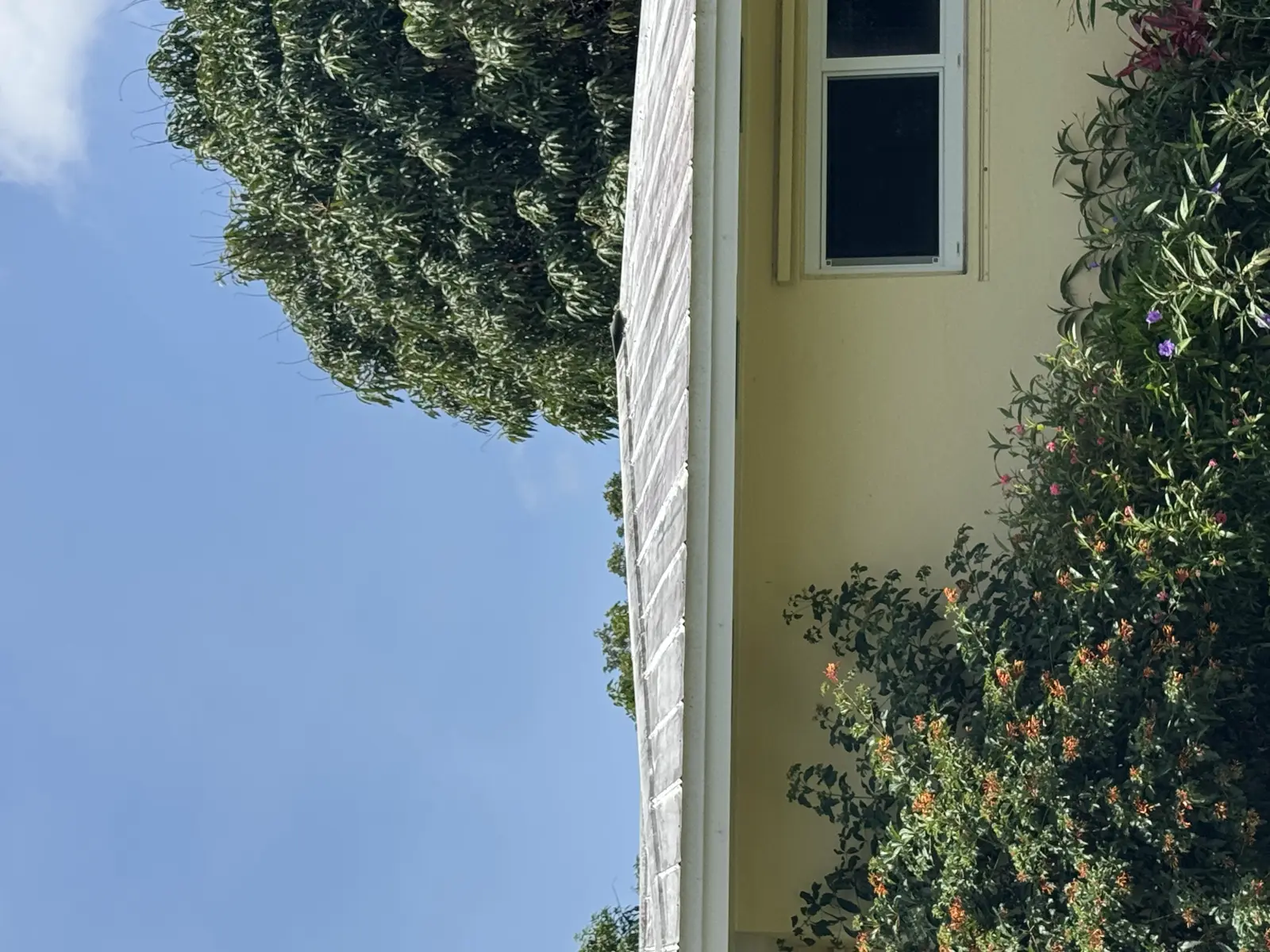 Residential and Commercial Painting Portfolio, painting services project photo 785