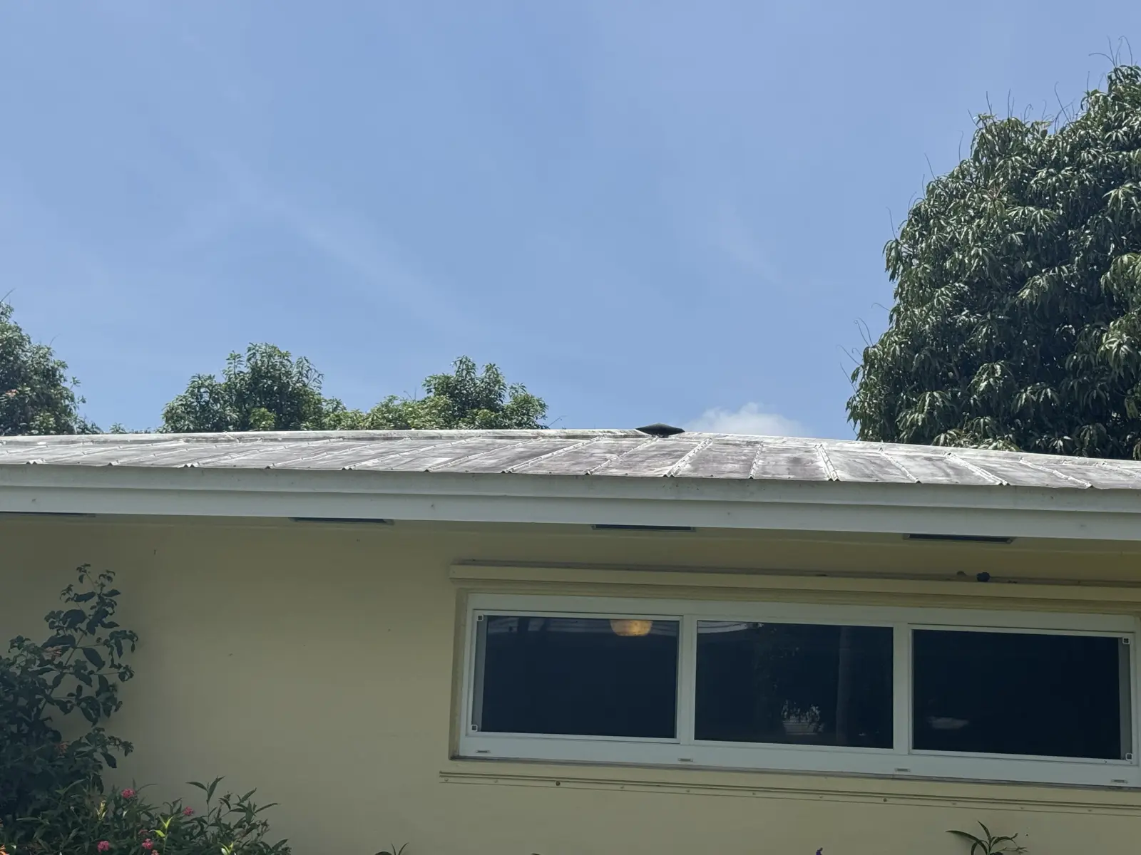 Residential and Commercial Painting Portfolio, painting services project photo 787