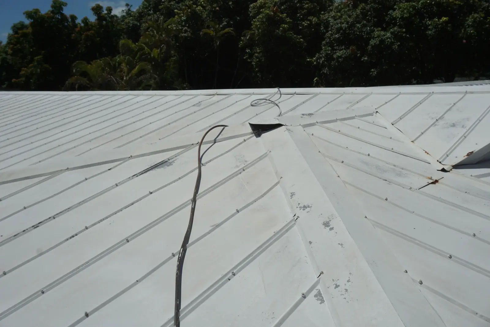 Residential and Commercial Painting Portfolio, painting services project photo 880