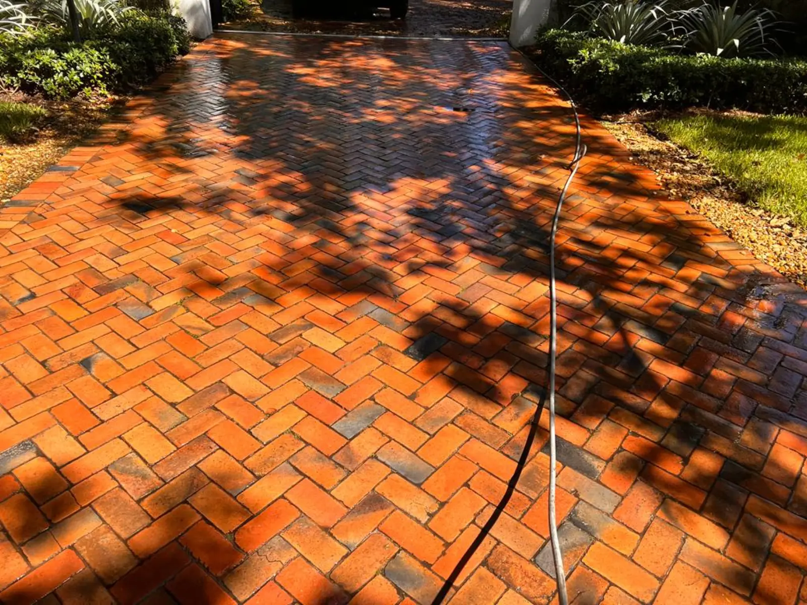 Pinecrest Driveway and Pool Deck Pressure Washing, pressure washing project photo 5