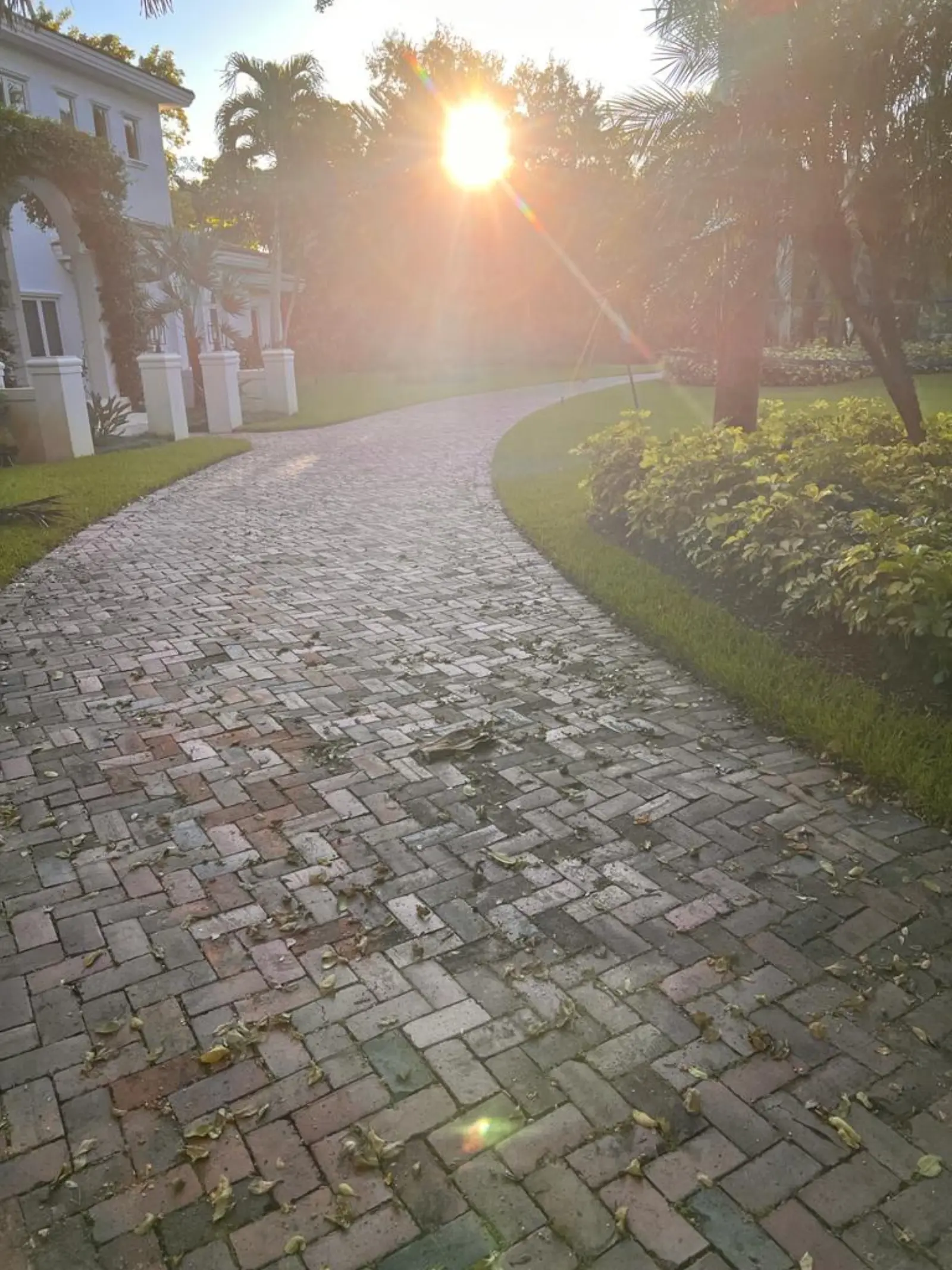 Pinecrest Driveway and Pool Deck Pressure Washing, pressure washing project photo 7