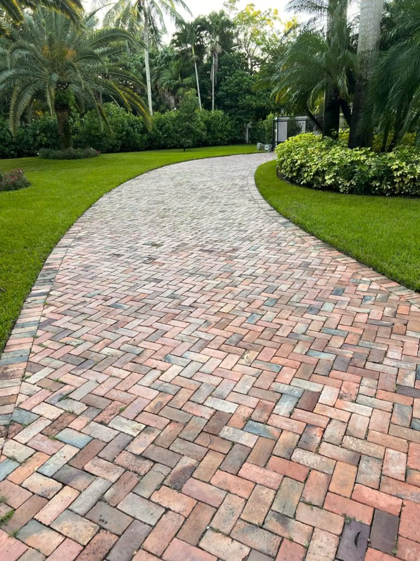 Pinecrest Driveway and Pool Deck Pressure Washing, pressure washing project photo 8