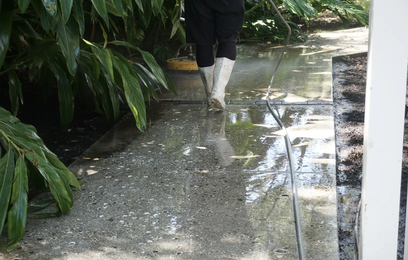 Professional Pressure Washing in Progress, pressure washing project photo 5