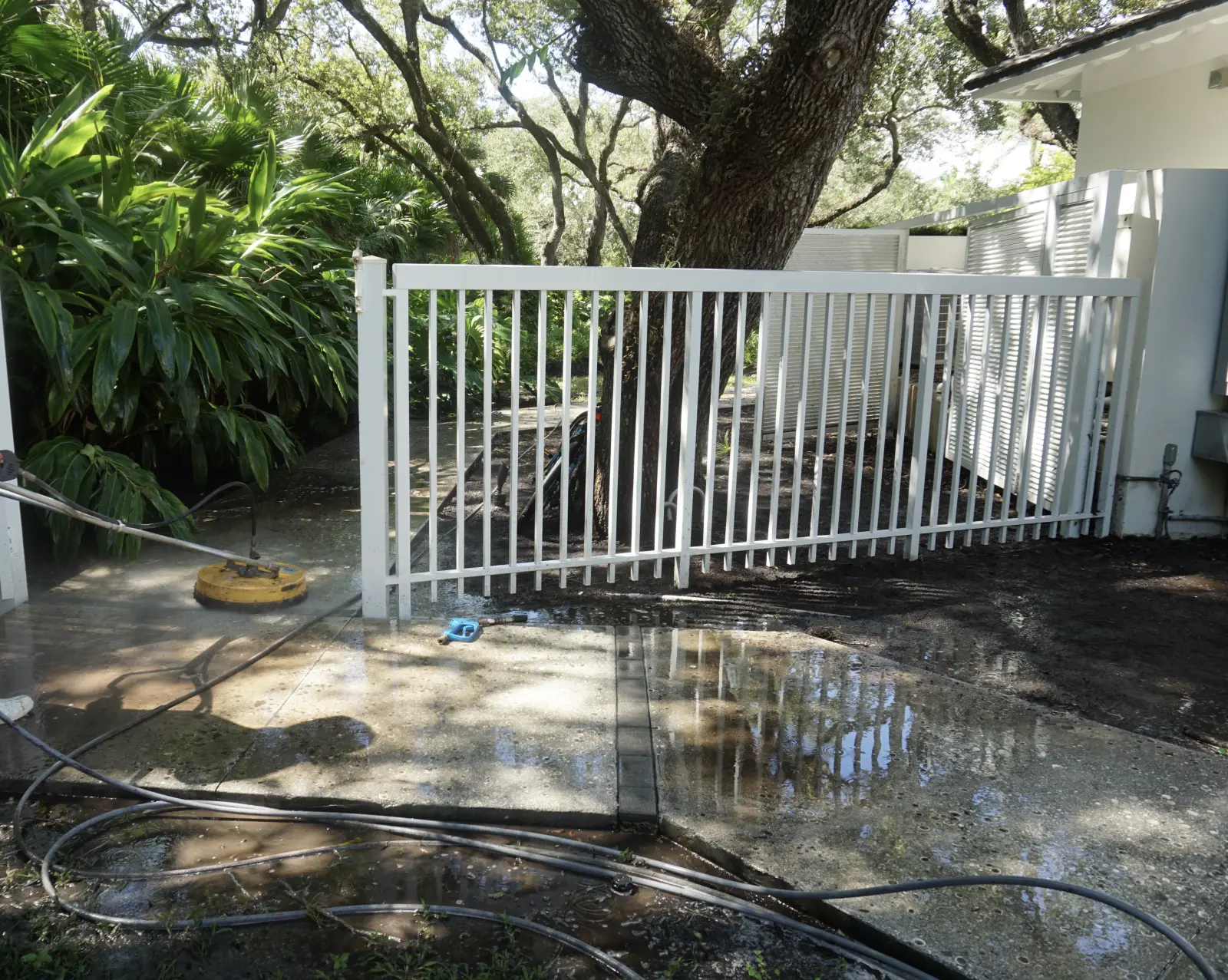 Professional Pressure Washing in Progress, pressure washing project photo 6