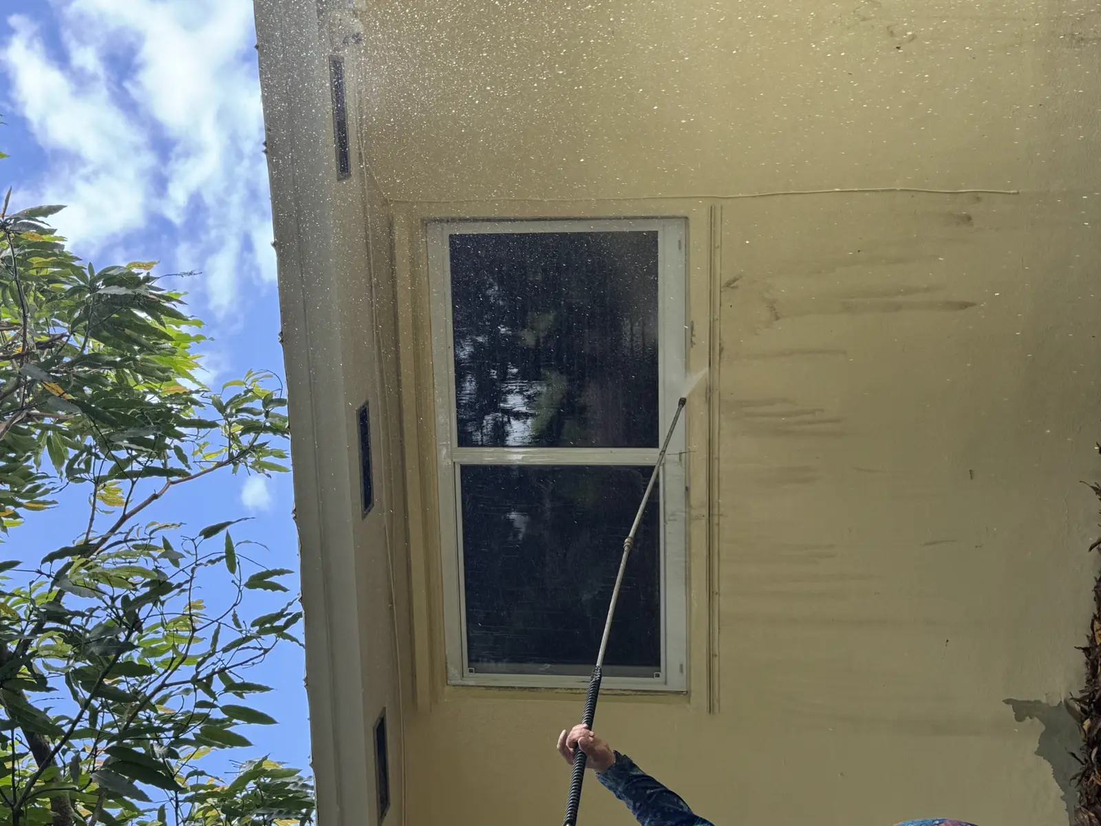 Pressure Washing Project Portfolio, pressure washing project photo 452