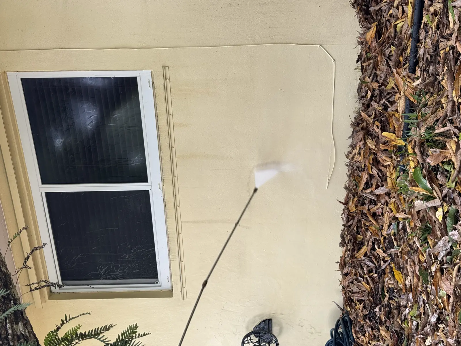 Pressure Washing Project Portfolio, pressure washing project photo 465