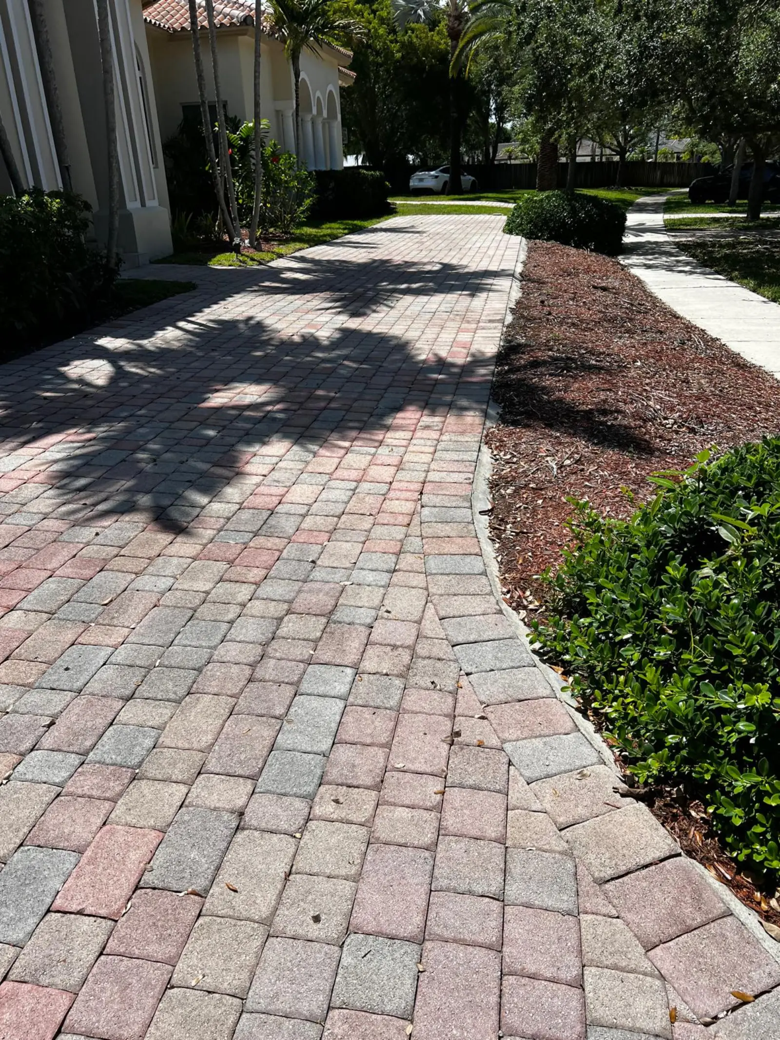 Pressure Washing Project Portfolio, pressure washing project photo 546