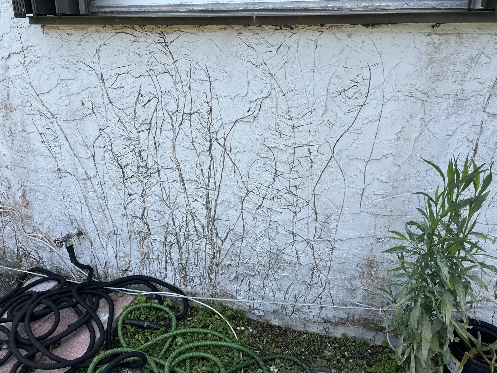 Pressure Washing Project Portfolio, pressure washing project photo 563