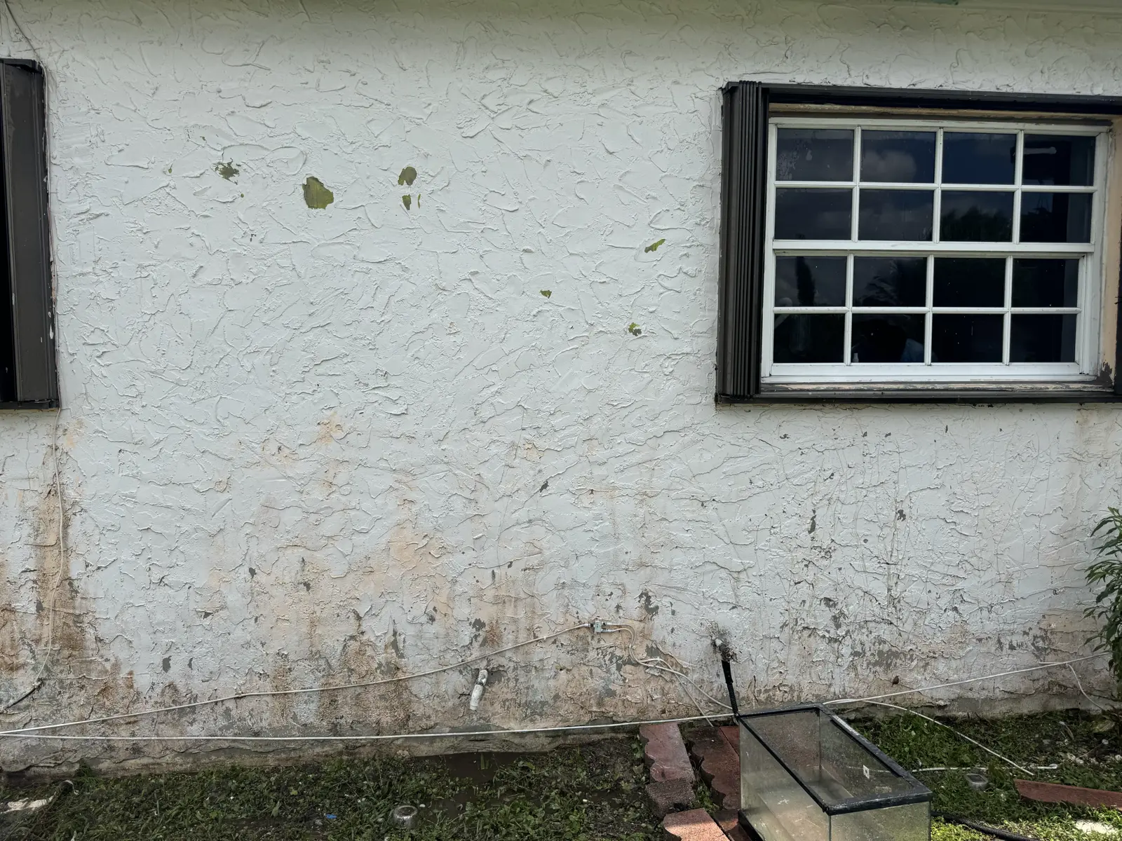 Pressure Washing Project Portfolio, pressure washing project photo 569