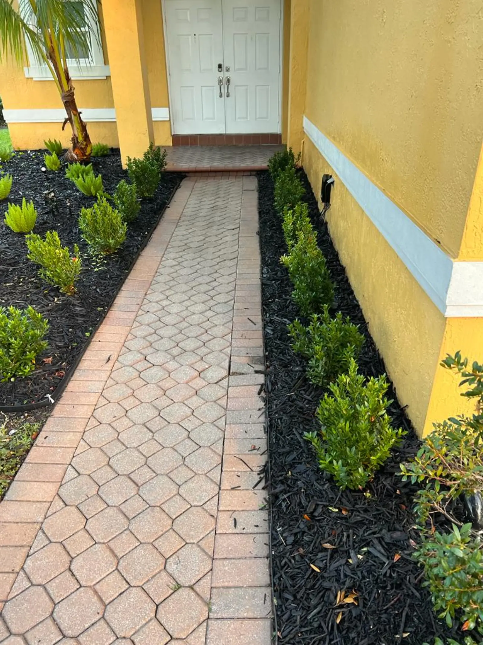 Pressure Washing Project Portfolio, pressure washing project photo 622