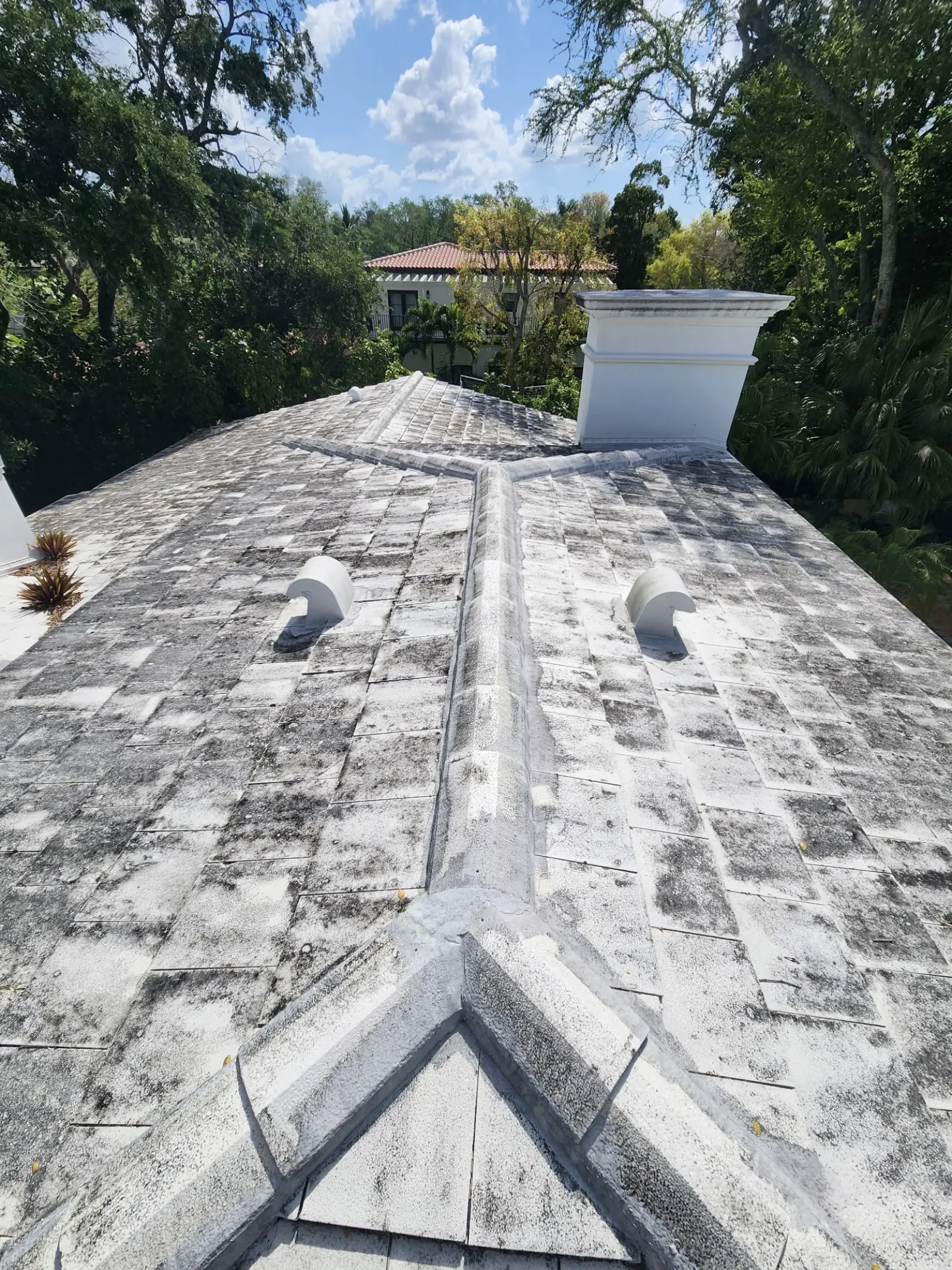 White Tile Roof Cleaning and Restoration, pressure washing project photo 6