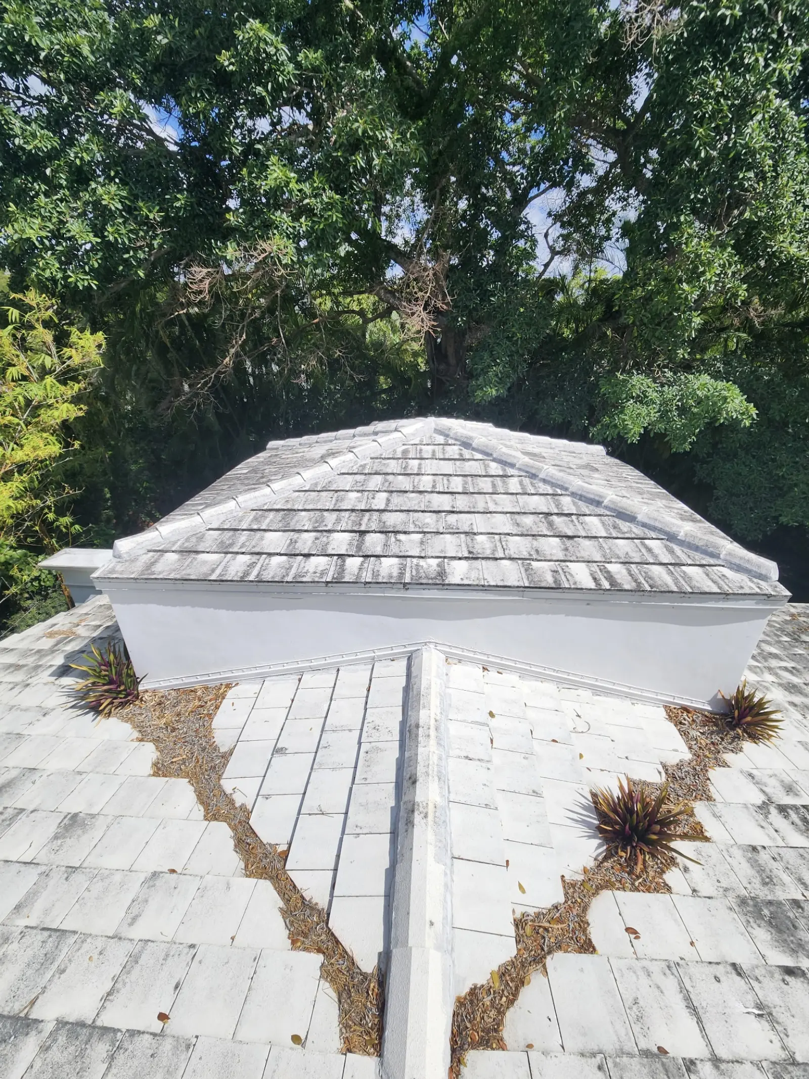 White Tile Roof Cleaning and Restoration, pressure washing project photo 8