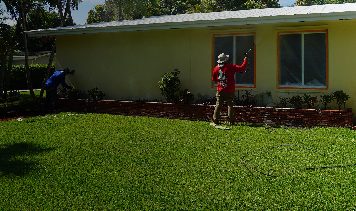 Lumens Painting Reviews