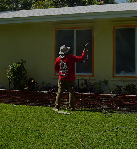 Licensed and insured professionals